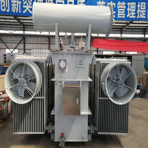 扶绥10KV油浸式变压器