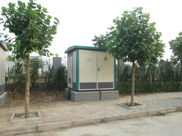扶绥1000KVA欧式箱式变压器